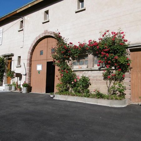 Chez Catherine Et Roger Brouvelieures Exterior photo